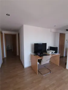 Penthouse de inchiriat in Herastrau - foto 2