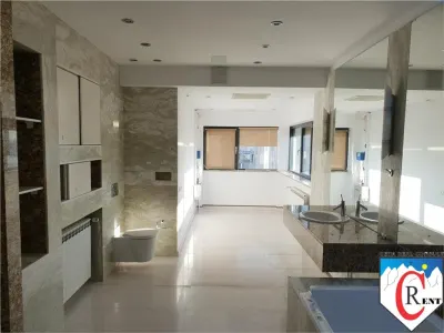 Penthouse Herastrau - foto 8