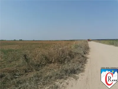 Teren Stefanestii de Jos - foto 3