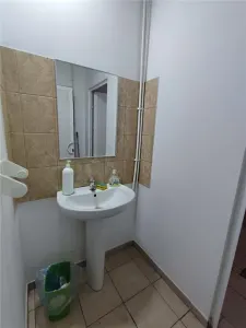 Hala 161 mp Afumati cu ISU - foto 4