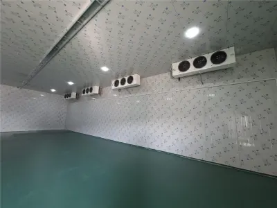 Hala  200 mp cu refrigerare, temperatura -10 gr + 10 gr - Afumati