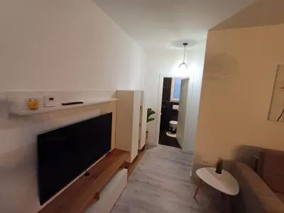 Apartament 2 camere VISOIANU-- 430 EURO - foto 4