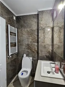 Casa spatioasa cu 3 apartamente de vanzare in Sibiu - foto 10