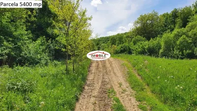 Teren agricol de vanzare in Hamba Sibiu, 4 parcele - foto 15