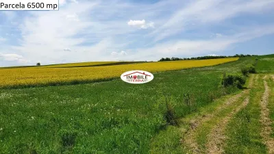 Teren agricol de vanzare in Hamba Sibiu, 4 parcele - foto 9