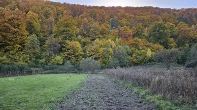 Gradina intravilan in Marginimea Sibiului sat Gales - foto 3