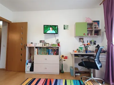 Apartament decomandat cu 3 camere mobilat/utilat in Turnisor - foto 16
