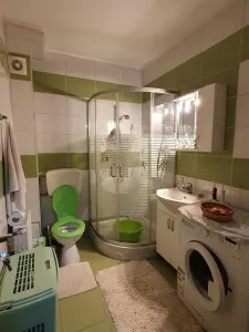 Apartament decomandat cu 3 camere mobilat/utilat in Turnisor - foto 8