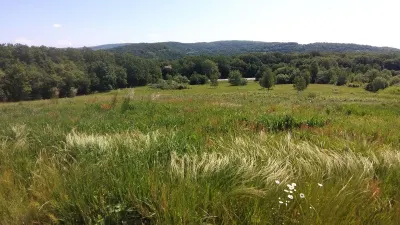 Teren de vanzare in Sura Mare Sibiu - foto 5