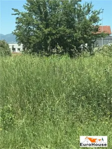 Teren intravilan de vanzare in Alba Iulia - foto 3