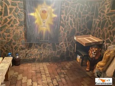 Casa tip vila de vanzare in Alba Iulia - foto 9