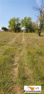 Teren de vanzare in Alba Iulia - foto 2