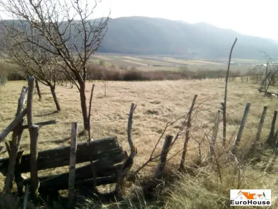 OPORTUNITATE! TEREN EXTRAVILAN ZONA SARD - AMPOITA - foto 1