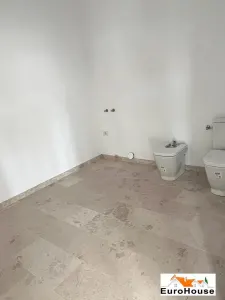 Spatiu de inchiriat in Alba Iulia - foto 2