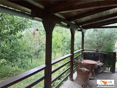 Cabana de vanzare in judetul Alba - foto 5