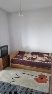 Garsonieră de inchiriat - Zona Nord - foto 1
