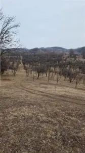 Teren 18000 mp, Vladesti - foto 1