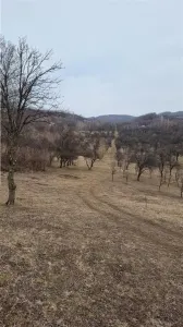 Teren 18000 mp, Vladesti - foto 2