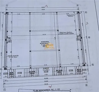 casa P+M, com Budesti - foto 10