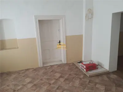Casa Salatrucel - foto 8