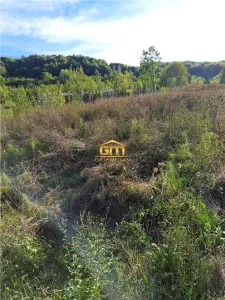 Teren in suprafata de 751 mp, Buda - foto 3