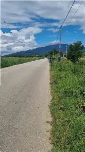 teren 2822mp, Calimanesti ( Jiblea Noua) - foto 3