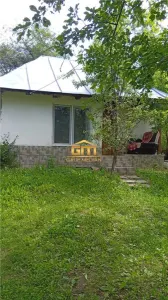 Proprietate de vanzare in Golești - 10800 mp teren și două case, ideală pentru casă de vacanță - foto 3