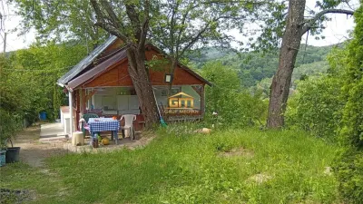 Proprietate de vanzare in Golești - 10800 mp teren și două case, ideală pentru casă de vacanță - foto 4