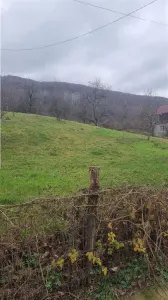 teren 4065mp, Vladesti - foto 3