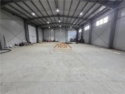 De inchiriat | Hala Depozitare | Productie - foto 5