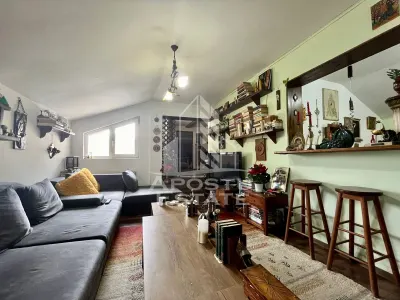 Casa cu 6 camere, pe doua nivele, zona Lipovei, Timisoara - foto 12