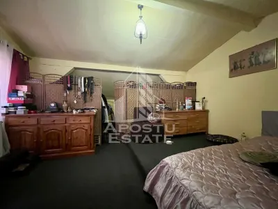 Casa cu 6 camere, pe doua nivele, zona Lipovei, Timisoara - foto 20
