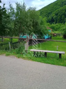 Casa batraneasca de vanzare, 4 camere, in Hunedoara, sat Micanesti - foto 23
