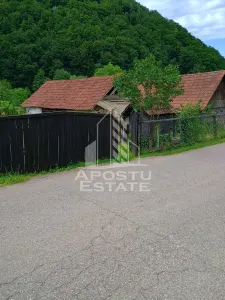 Casa batraneasca de vanzare, 4 camere, in Hunedoara, sat Micanesti - foto 25
