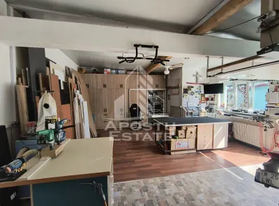 Casa cu sediu firma, atelier si apartament separat Mosnita Noua - foto 25