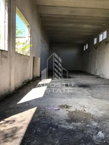 Teren 8000 mp  cu hala de 700 mp - Vladimirescu
