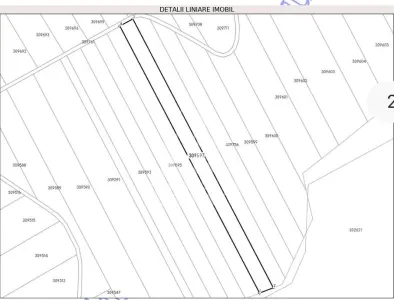 Teren Cuied – Livada 5400 mp - foto 2