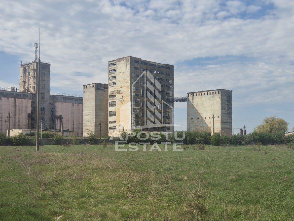 PLATFORMA INDUSTRIALA 3HA SILOZURI 50M ACCES CFR SANNICOLAU MARE - Sannicolau Mare