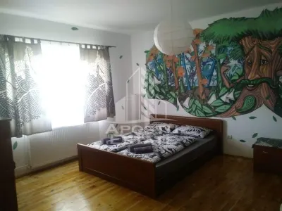 Casa individualapretabil pensiune pe Clisura Dunarii - foto 16