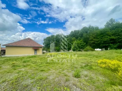 Spatii productie si depozitare, zona Sebis - Prunisor-Carand - foto 17