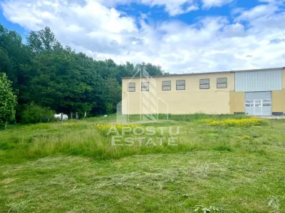 Spatii productie si depozitare, zona Sebis - Prunisor-Carand - foto 4