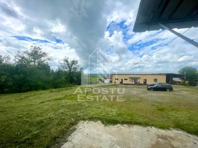 Spatii productie si depozitare, zona Sebis - Prunisor-Carand - foto 9