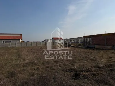 Parcela de 600 mp, in Mosnita Noua - foto 2