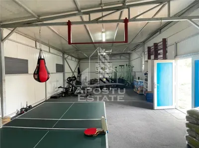 Vila de vanzare central Carpinis - foto 18