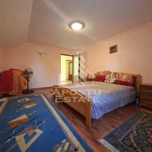 Casa Vladimirescu 5 camere 180 mp utili D.P.M - foto 9