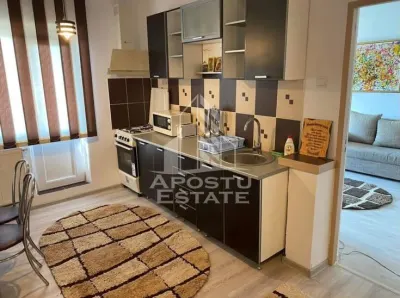 Apartament cu 2 camere de inchiriat zona Lipovei - foto 1