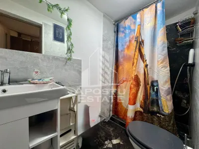 Doua apartamente la curte comuna , zona Iosefin - foto 12