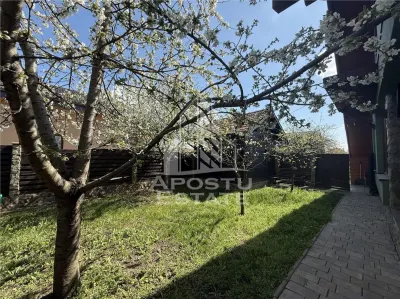 Casa individuala renovata, 1004mp teren,  alarma si video, zona Modern - foto 15