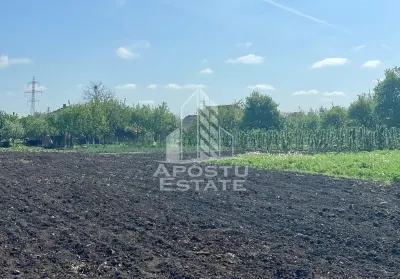Casa individuala cu curte individuala si gradina - Zona Gai - foto 21