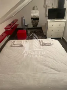 Casa individuala , piscina si jacuzzi, LUX,  zona Calea Aradului - foto 20